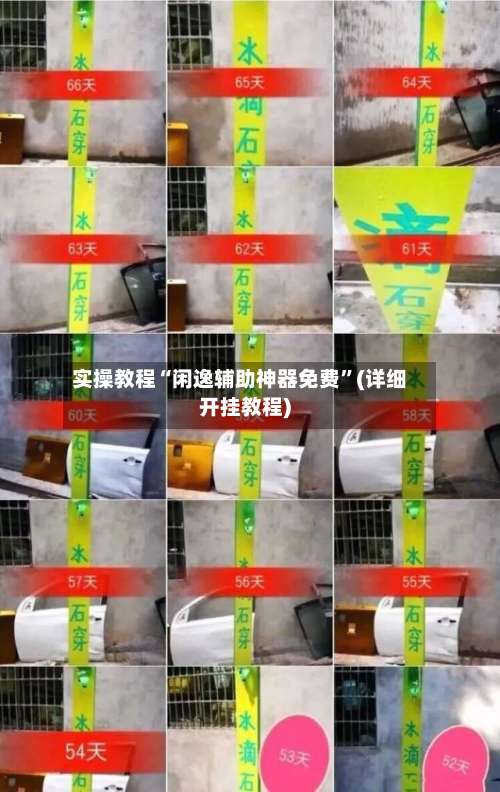 实操教程“闲逸辅助神器免费	”(详细开挂教程)-第2张图片