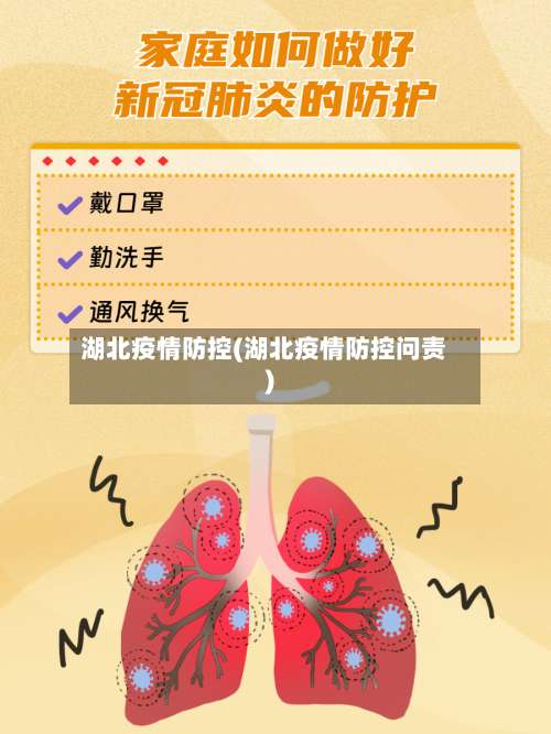 湖北疫情防控(湖北疫情防控问责)-第2张图片