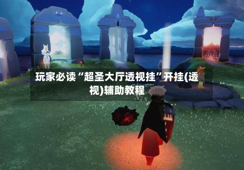 玩家必读“超圣大厅透视挂	”开挂(透视)辅助教程-第3张图片