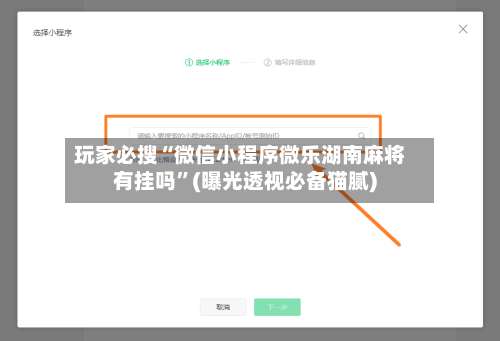 玩家必搜“微信小程序微乐湖南麻将有挂吗”(曝光透视必备猫腻)-第2张图片