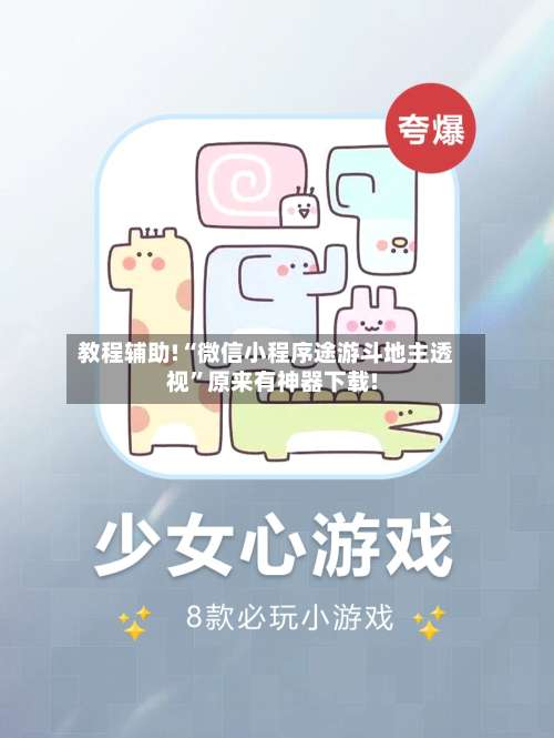 教程辅助!“微信小程序途游斗地主透视	”原来有神器下载!-第3张图片