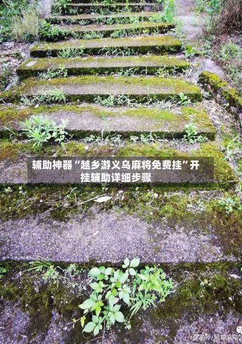 辅助神器“越乡游义乌麻将免费挂”开挂辅助详细步骤-第2张图片