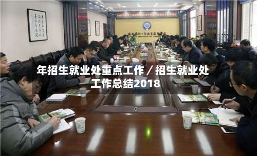 年招生就业处重点工作／招生就业处工作总结2018-第1张图片