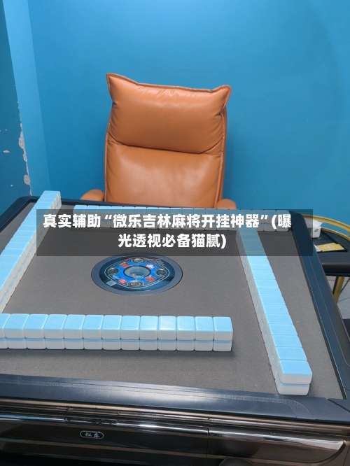 真实辅助“微乐吉林麻将开挂神器”(曝光透视必备猫腻)-第1张图片