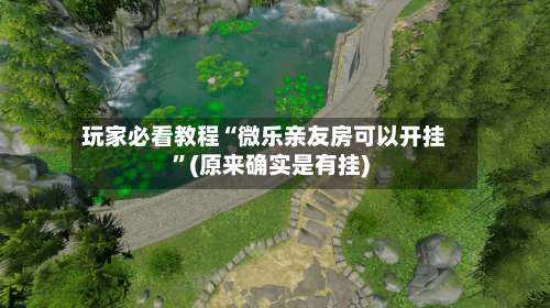 玩家必看教程“微乐亲友房可以开挂”(原来确实是有挂)-第3张图片