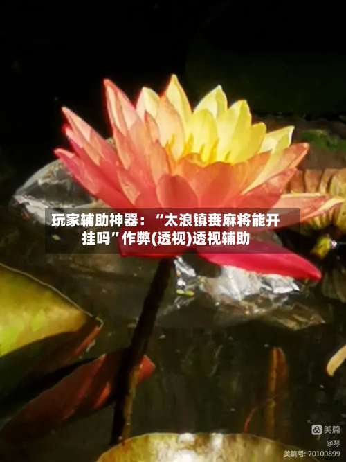 玩家辅助神器：“太浪镇赉麻将能开挂吗”作弊(透视)透视辅助-第2张图片