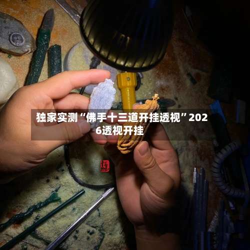 独家实测“佛手十三道开挂透视”2026透视开挂-第1张图片