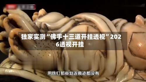 独家实测“佛手十三道开挂透视	”2026透视开挂-第2张图片