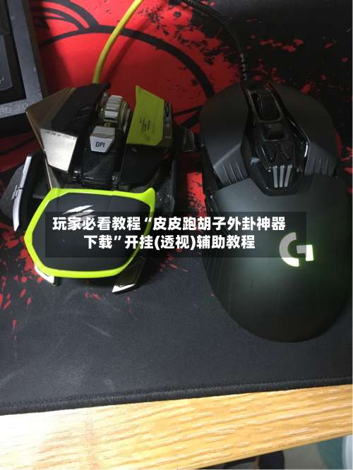 玩家必看教程“皮皮跑胡子外卦神器下载	”开挂(透视)辅助教程-第2张图片