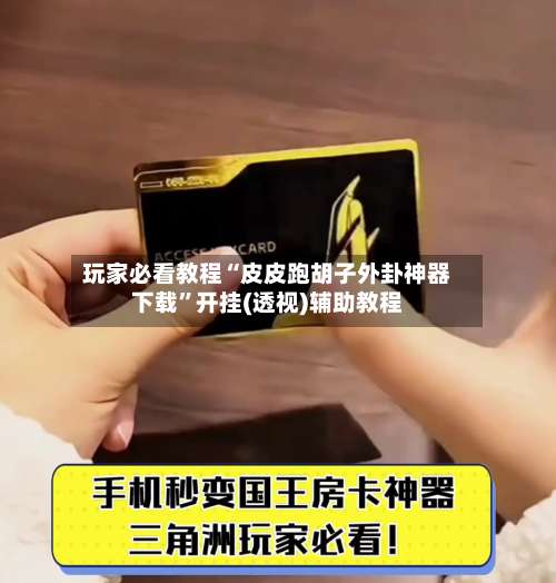 玩家必看教程“皮皮跑胡子外卦神器下载”开挂(透视)辅助教程-第1张图片