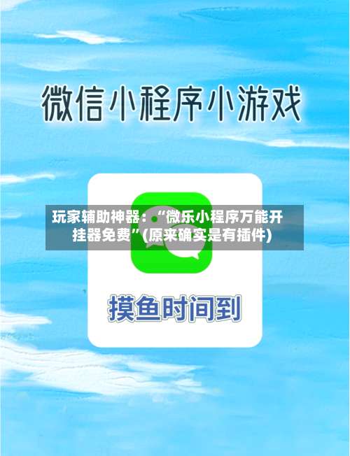 玩家辅助神器：“微乐小程序万能开挂器免费”(原来确实是有插件)-第2张图片