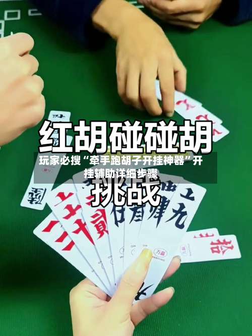 玩家必搜“牵手跑胡子开挂神器”开挂辅助详细步骤-第3张图片