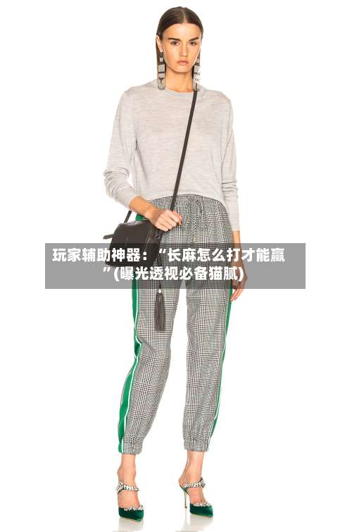 玩家辅助神器：“长麻怎么打才能赢	”(曝光透视必备猫腻)-第1张图片