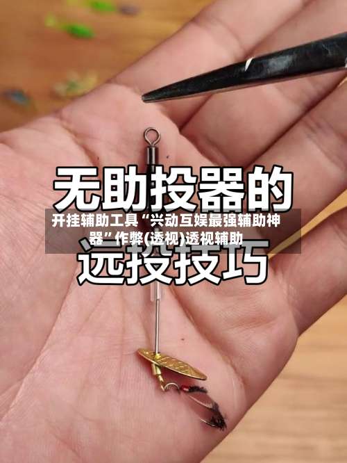 开挂辅助工具“兴动互娱最强辅助神器”作弊(透视)透视辅助-第3张图片