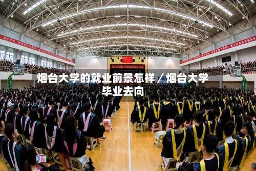 烟台大学的就业前景怎样／烟台大学毕业去向-第2张图片