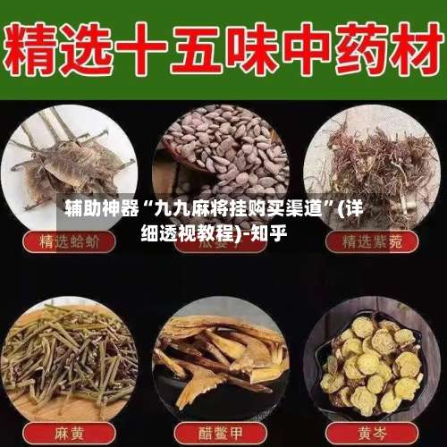 辅助神器“九九麻将挂购买渠道”(详细透视教程)-知乎-第3张图片