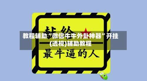 教程辅助“微信牛牛外卦神器	”开挂(透视)辅助教程-第2张图片