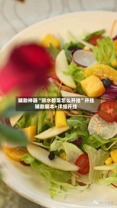 辅助神器“丽水都菜怎么开挂”开挂辅助脚本+详细开挂-第1张图片