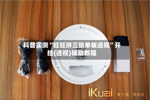 科普实测“旺旺拼三张单板透视”开挂(透视)辅助教程-第3张图片