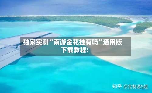 独家实测“南游金花挂有吗	”通用版下载教程!-第2张图片