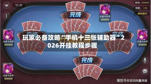 玩家必备攻略“手机十三张辅助器	”2026开挂教程步骤-第1张图片
