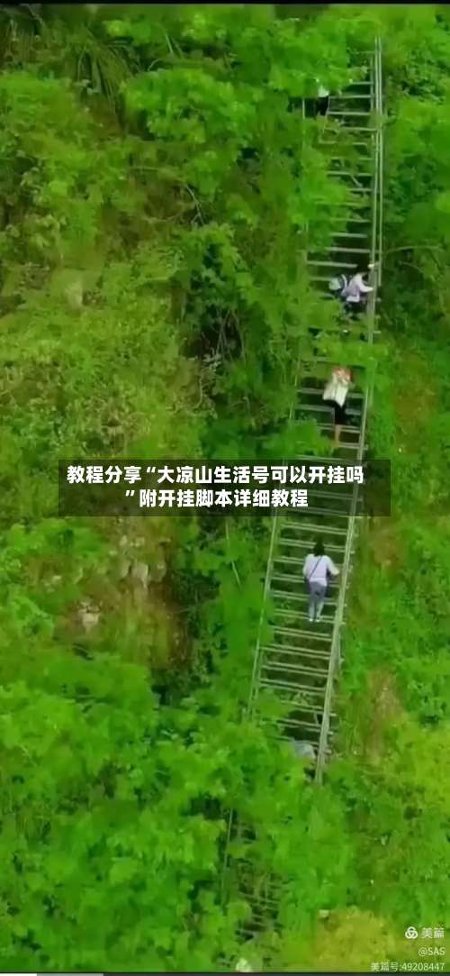 教程分享“大凉山生活号可以开挂吗”附开挂脚本详细教程-第1张图片