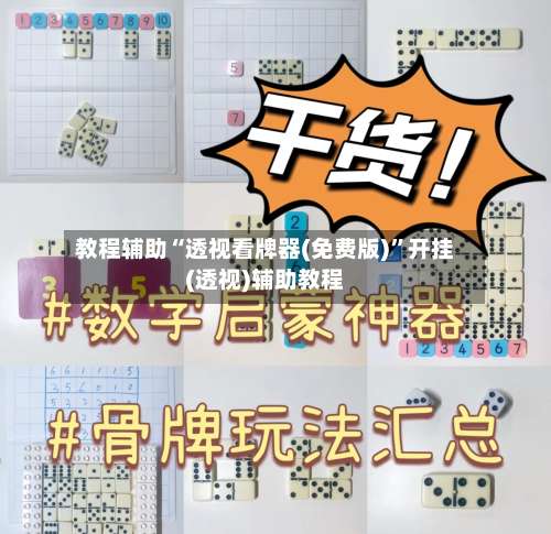 教程辅助“透视看牌器(免费版)”开挂(透视)辅助教程-第2张图片