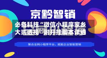 必备科技“微信小程序家乡大贰透视”附开挂脚本详细-第1张图片