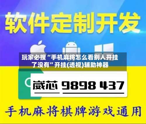 玩家必搜“手机麻将怎么看别人开挂了没有	”开挂(透视)辅助神器-第2张图片