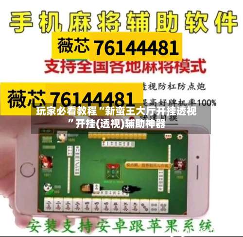 玩家必看教程“新蛮王大厅开挂透视”开挂(透视)辅助神器-第1张图片