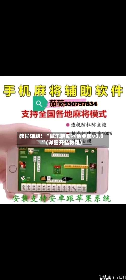 教程辅助！“微乐辅助器免费版v3.0”(详细开挂教程)-第2张图片