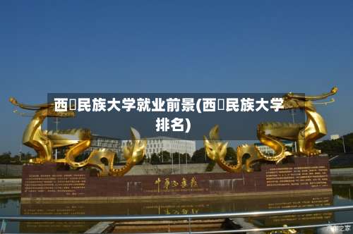西蔵民族大学就业前景(西蔵民族大学排名)-第1张图片