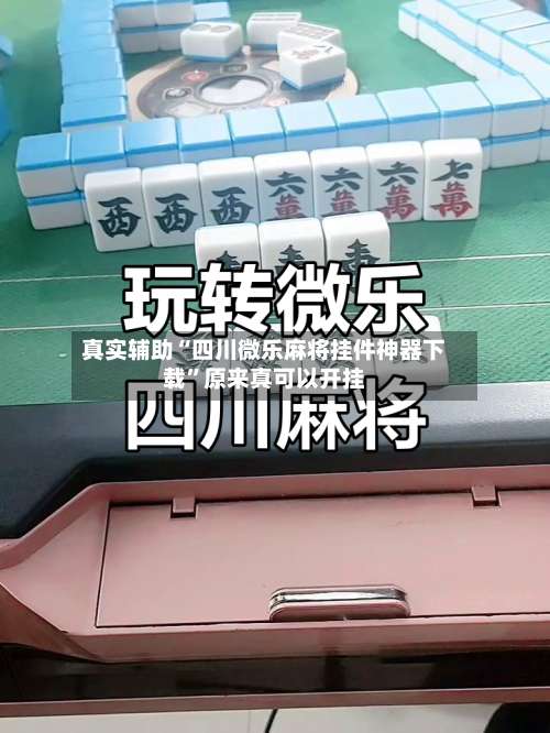 真实辅助“四川微乐麻将挂件神器下载”原来真可以开挂-第1张图片