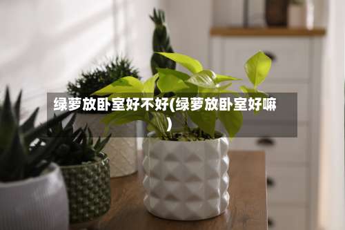 绿萝放卧室好不好(绿萝放卧室好嘛)-第1张图片