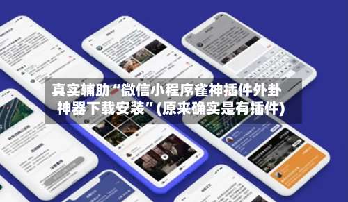 真实辅助“微信小程序雀神插件外卦神器下载安装”(原来确实是有插件)-第2张图片