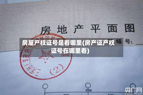 房屋产权证号是看哪里(房产证产权证号在哪里看)-第2张图片