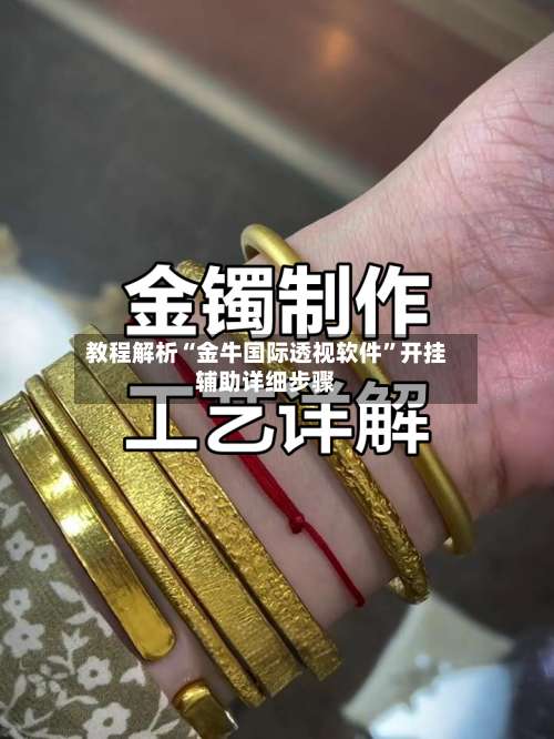 教程解析“金牛国际透视软件	”开挂辅助详细步骤-第2张图片