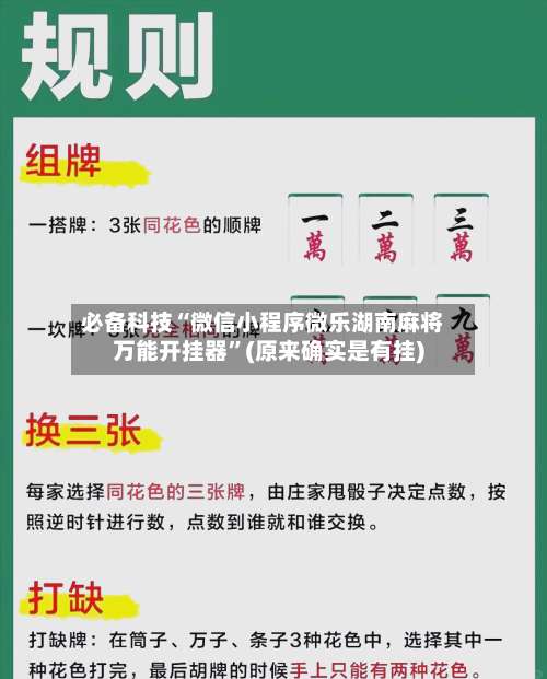 必备科技“微信小程序微乐湖南麻将万能开挂器”(原来确实是有挂)-第1张图片