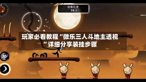 玩家必看教程“微乐三人斗地主透视	”详细分享装挂步骤-第2张图片