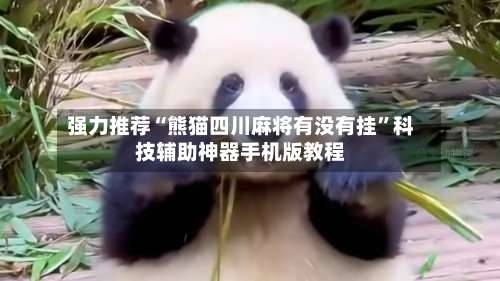 强力推荐“熊猫四川麻将有没有挂”科技辅助神器手机版教程-第2张图片