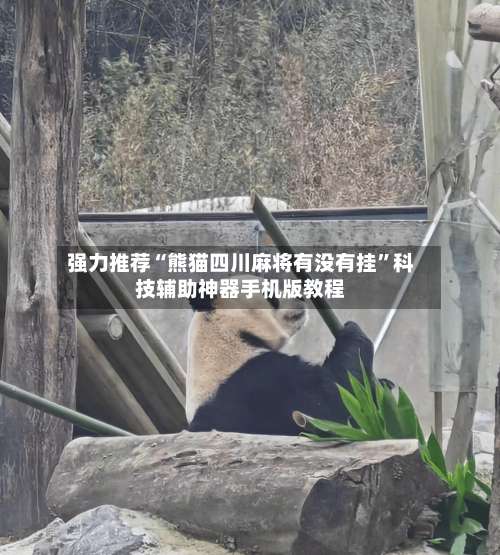 强力推荐“熊猫四川麻将有没有挂”科技辅助神器手机版教程-第3张图片