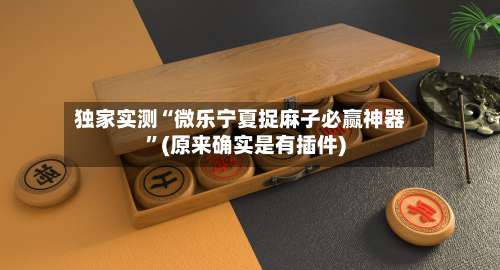 独家实测“微乐宁夏捉麻子必赢神器”(原来确实是有插件)-第2张图片