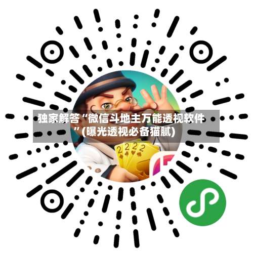 独家解答“微信斗地主万能透视软件”(曝光透视必备猫腻)-第1张图片