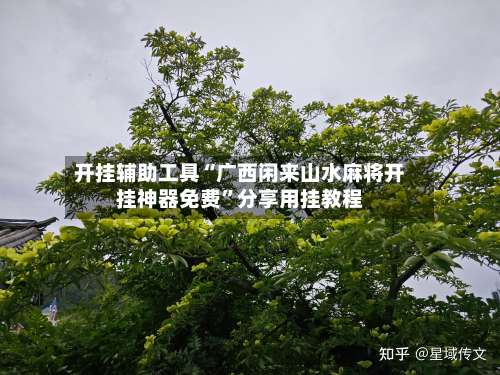 开挂辅助工具“广西闲来山水麻将开挂神器免费	”分享用挂教程-第1张图片