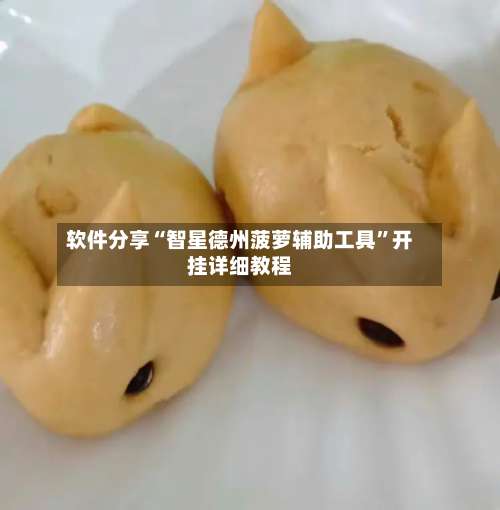 软件分享“智星德州菠萝辅助工具	”开挂详细教程-第1张图片