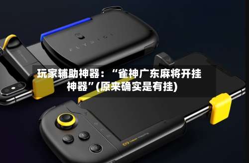 玩家辅助神器：“雀神广东麻将开挂神器”(原来确实是有挂)-第3张图片