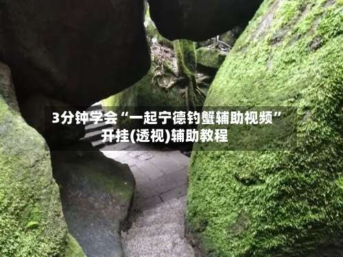 3分钟学会“一起宁德钓蟹辅助视频”开挂(透视)辅助教程-第2张图片