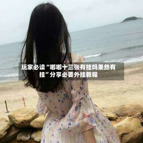 玩家必读“嘟嘟十三张有挂吗果然有挂	”分享必要外挂教程-第1张图片