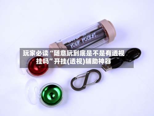 玩家必读“随意玩到底是不是有透视挂吗”开挂(透视)辅助神器-第2张图片