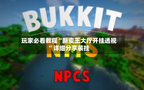 玩家必看教程“新蛮王大厅开挂透视”详细分享装挂-第2张图片